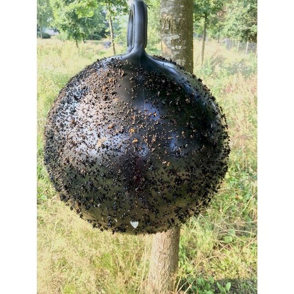 Horse Fly Trap Ball 45 cm